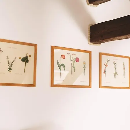 Lodge Mistrik Donovaly