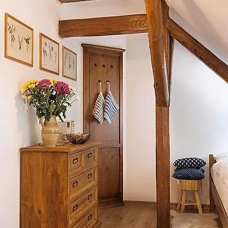 Mistrik Orman Evi