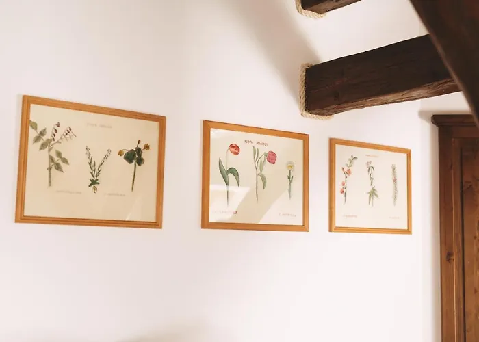 Lodge Mistrik Donovaly